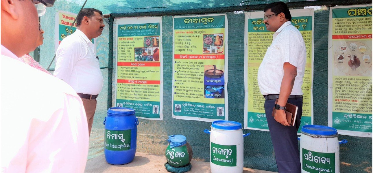 Krishi Vigyan Kendra Boudh