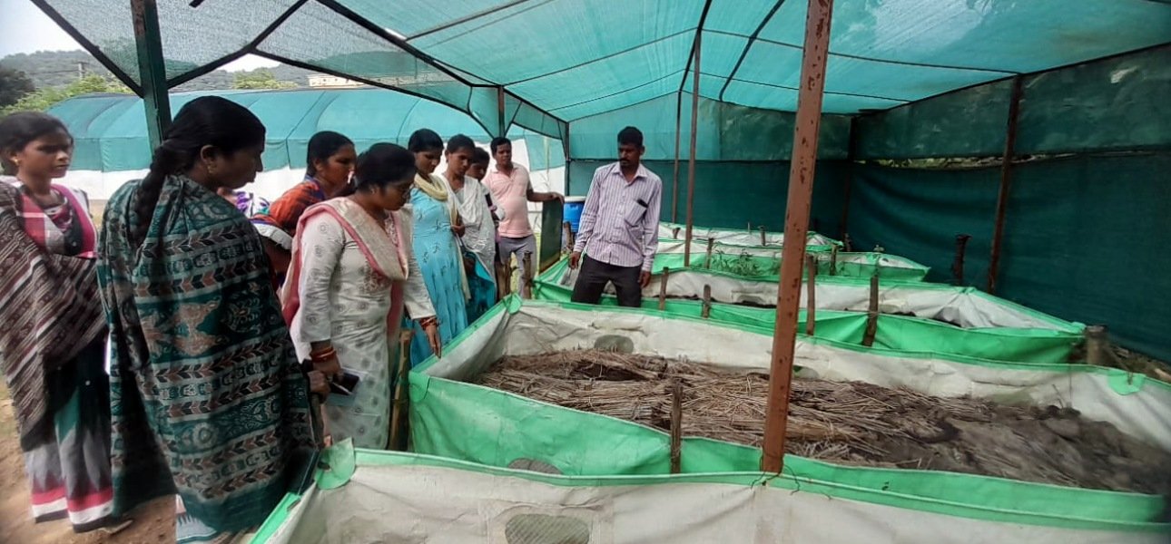 Krishi Vigyan Kendra Boudh